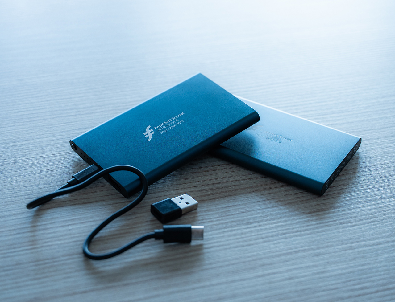 FS Powerbank